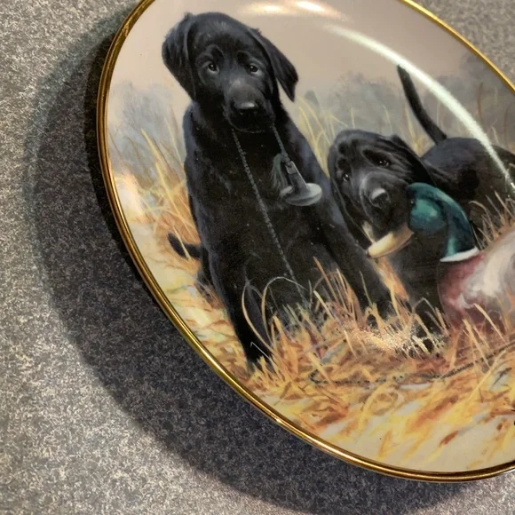 Limited Edition Beginner’s Luck Decorative Plate - Picture 4 of 5